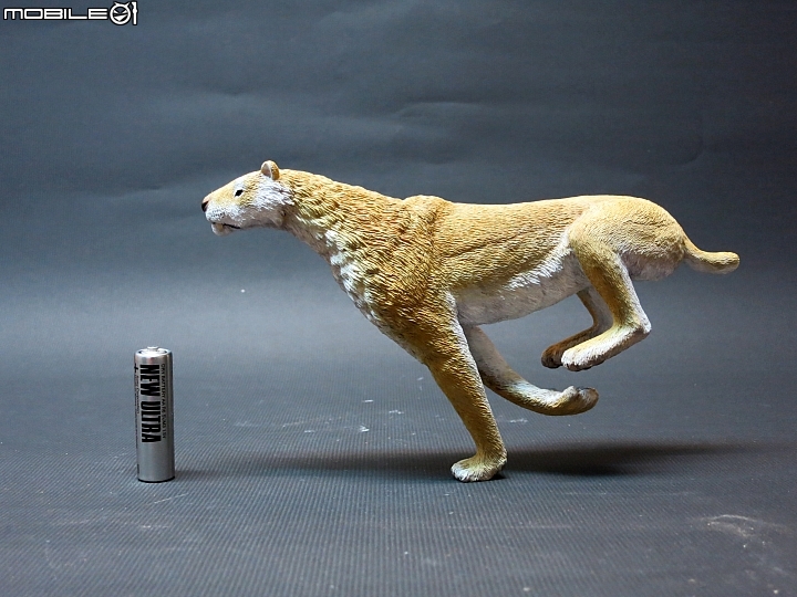 [動物創作]1/10 似劍齒虎