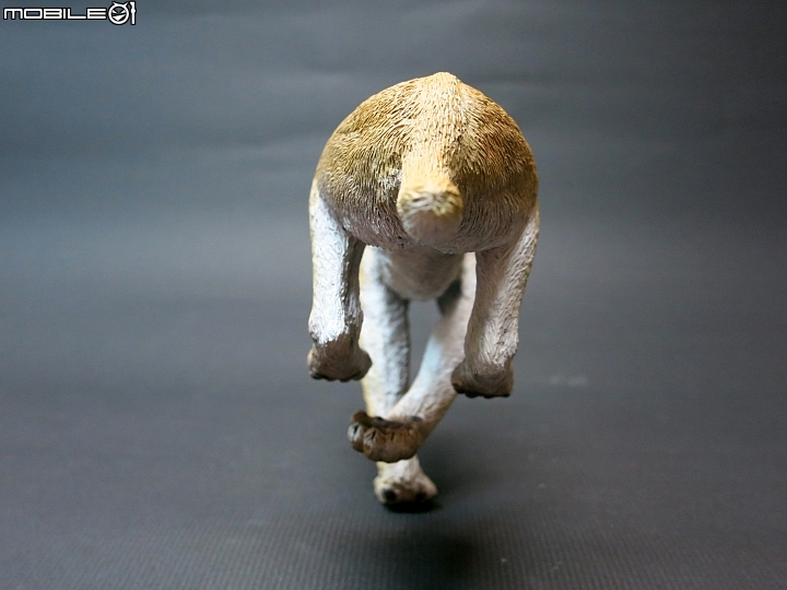 [動物創作]1/10 似劍齒虎