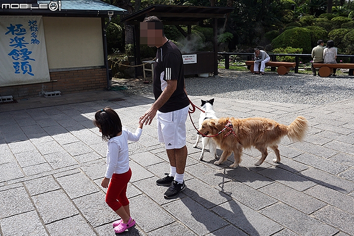公車一日券遊別府溫泉 參觀遠近馳名的海地獄