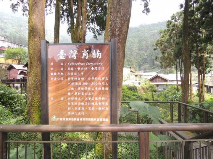 24天!上山下海單車露營環島大成功.