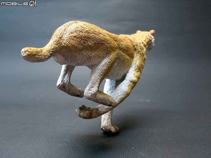 [動物創作]1/10 似劍齒虎