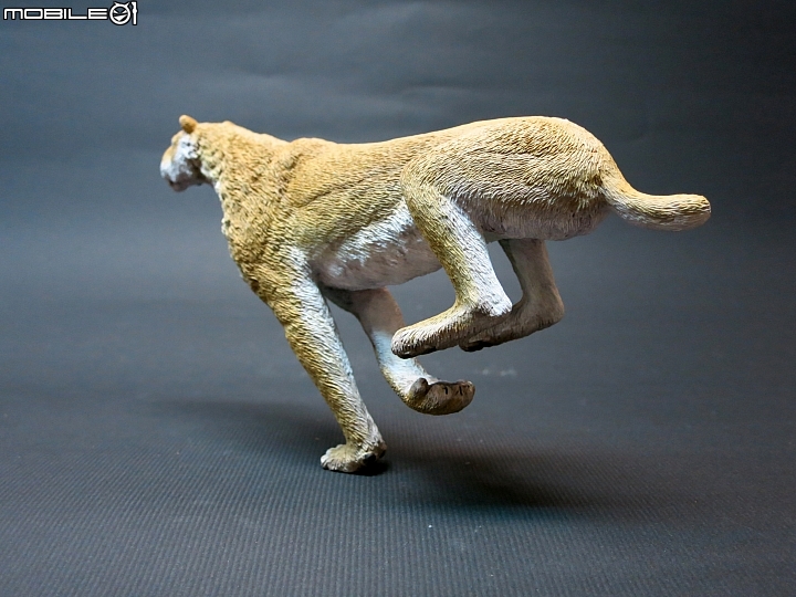 [動物創作]1/10 似劍齒虎