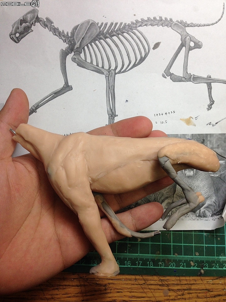 [動物創作]1/10 似劍齒虎