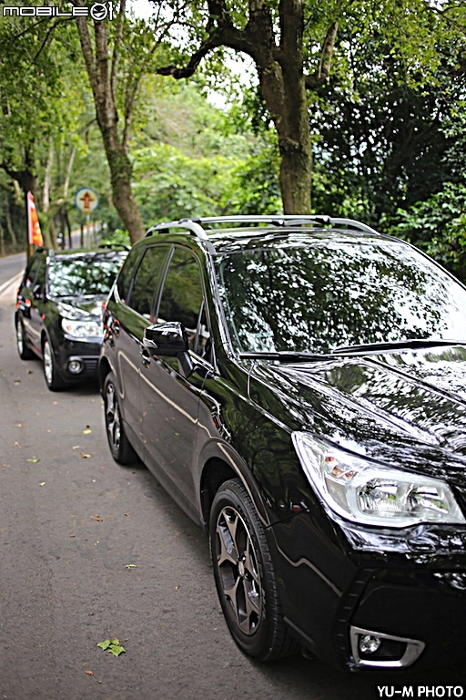 。車圖分享。森林人之 SH-SJ 相遇