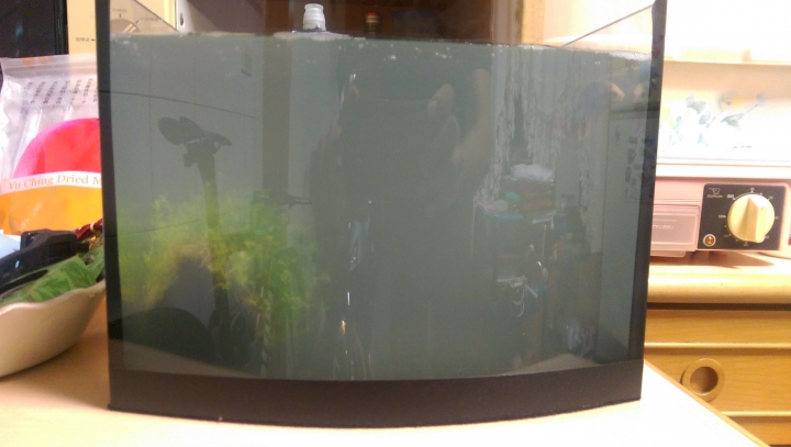 鬥魚--魚缸忽然水很濁...