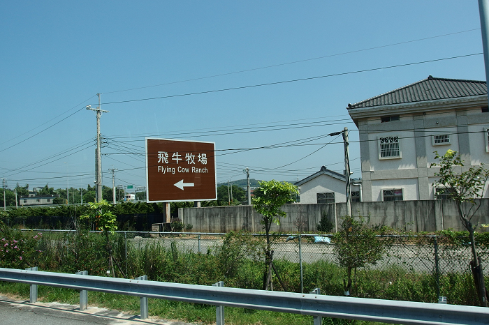 米其林 帶你體驗PRIMACY SUV輪胎 享受露營樂趣！！！！