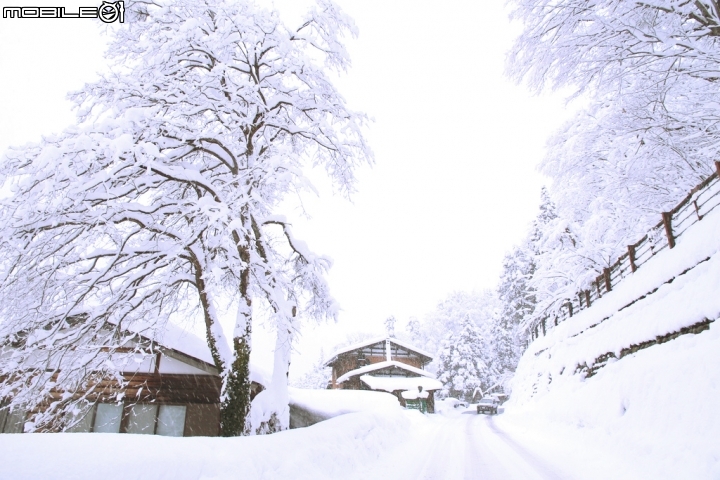 [行程] 冬雪合掌村點燈行程住宿總整理 (伊勢神宮/白川鄉/金澤)