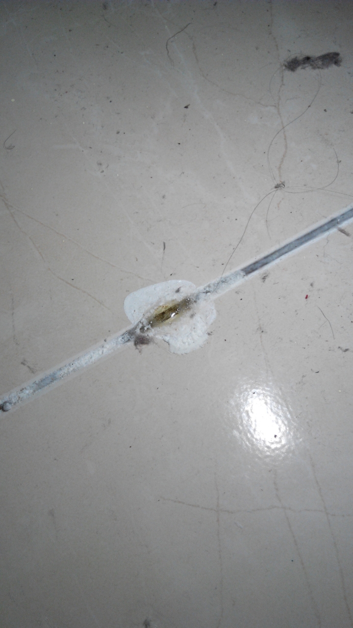 [問題]地板的磁磚自己長出膠