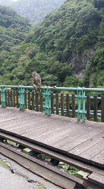 3天兩夜花東小四橫 + 縣197之旅