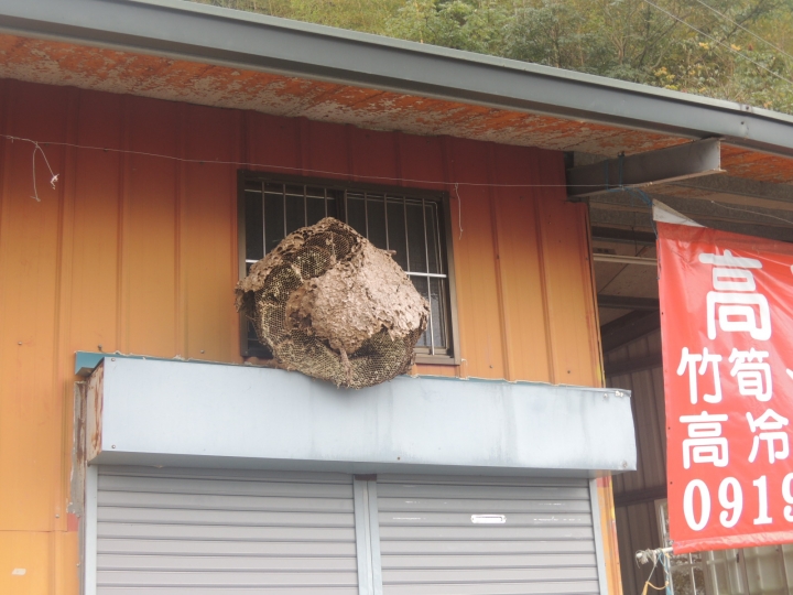 24天!上山下海單車露營環島大成功.