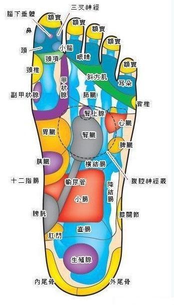 HOW~~~~~自助腳底按摩?