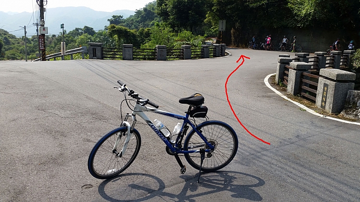 【路線分享】NeverStop 陽金P字山道．陽金3p路線分享