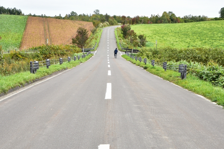 [D750 + T17-50 / T70-200] 圖多文非常少 北海道 函館->帶廣