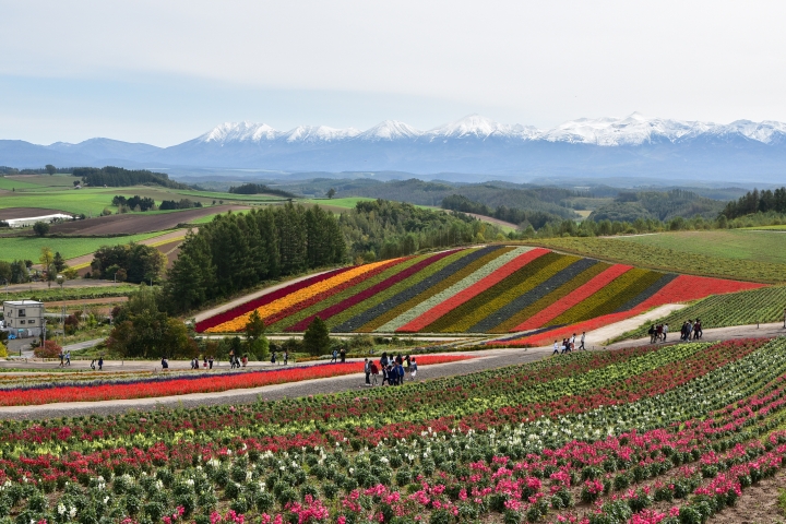 [D750 + T17-50 / T70-200] 圖多文非常少 北海道 函館->帶廣