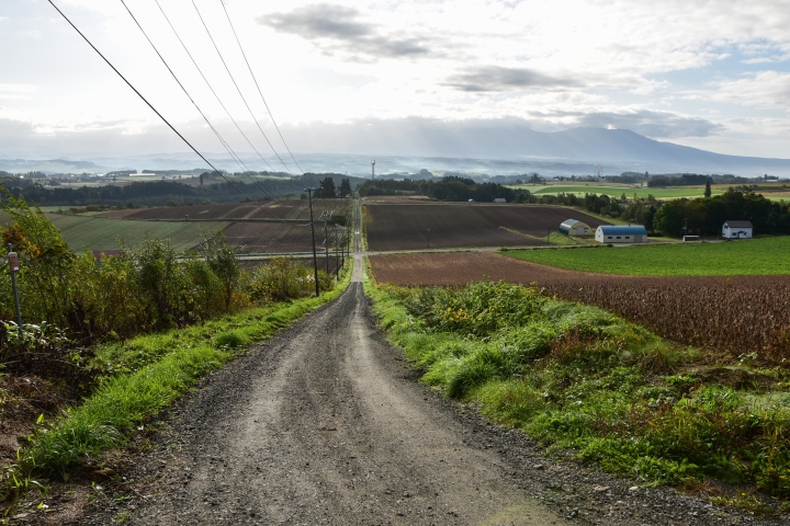 [D750 + T17-50 / T70-200] 圖多文非常少 北海道 函館->帶廣
