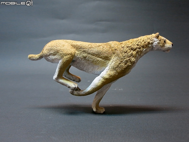 [動物創作]1/10 似劍齒虎