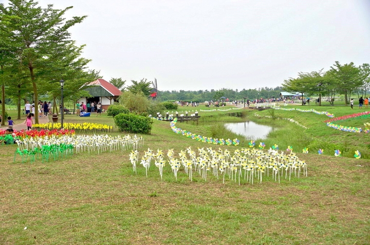 [台南][柳營區] 2015 德元埤荷蘭風車節x水域體驗