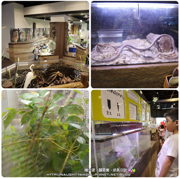【大阪兒童樂園】尖叫吧！孩子們的歡樂博物館Kidsplaza+扇町公園長長溜滑梯