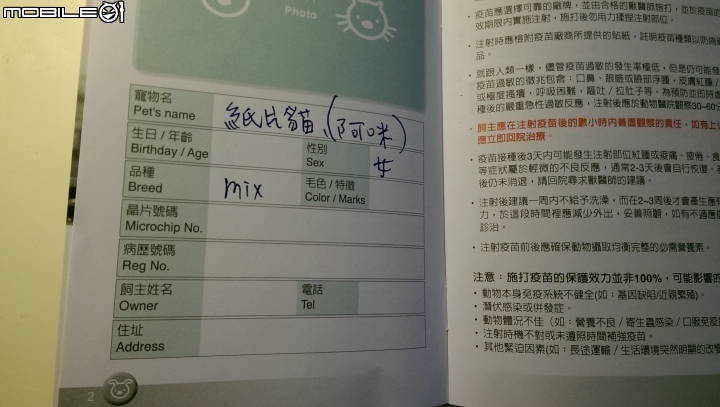[認養] 桃園/三色貓/已結紮/已打預防針/有晶片