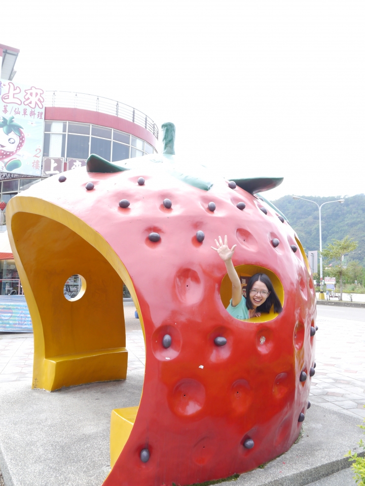 2015.10.26~11.03  第一次環島之旅