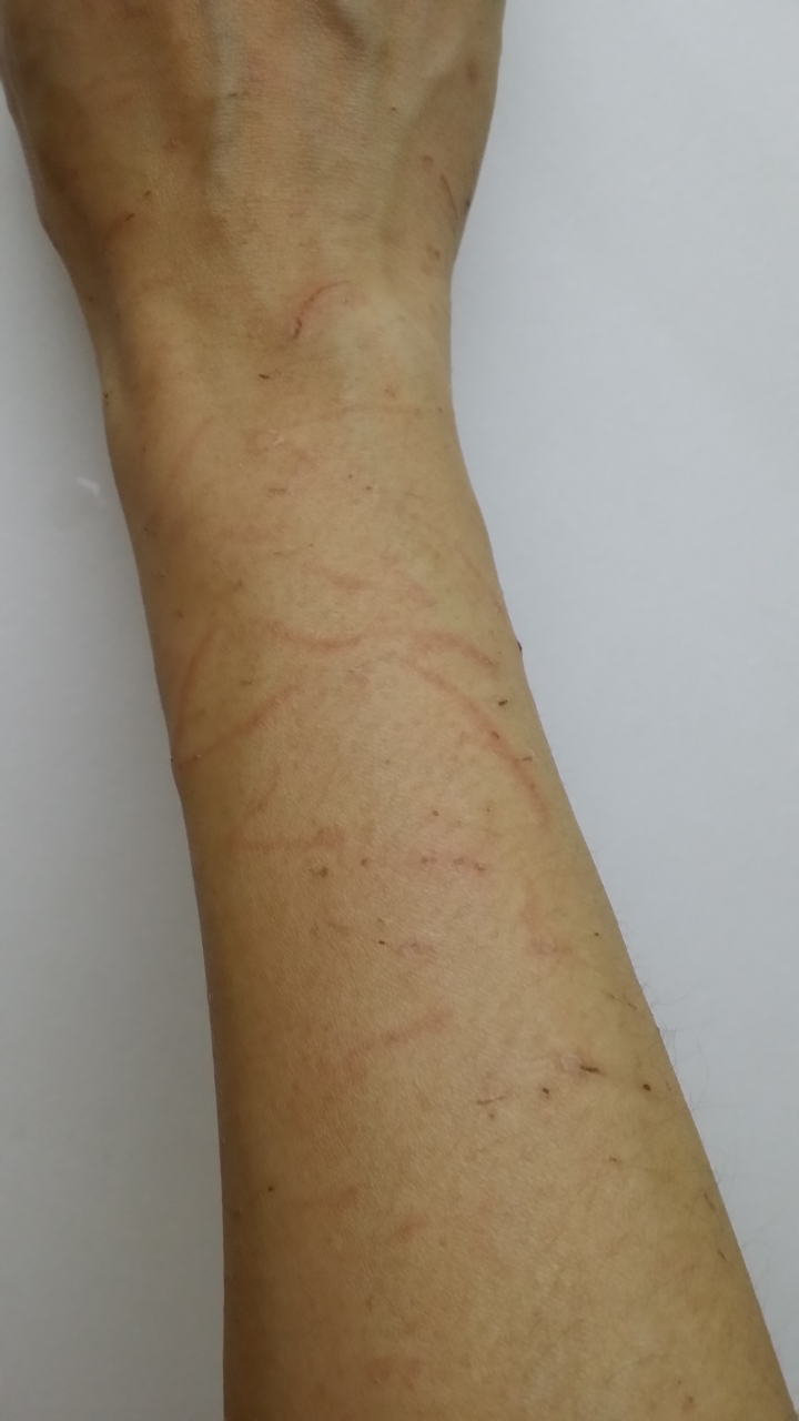 第一次養貓就上手—內有惡貓 慎入
