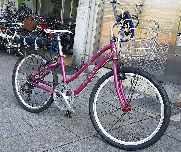 淑女車來報到吧!! 分享您的淑女車時代
