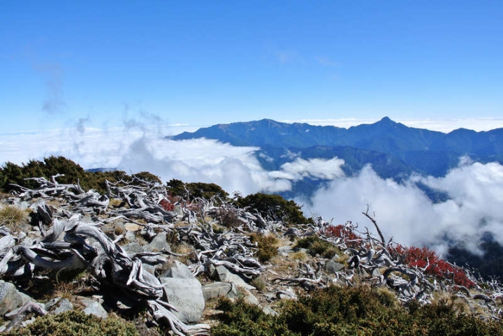 近期要去雪山的山友請留意，369山莊目前無水