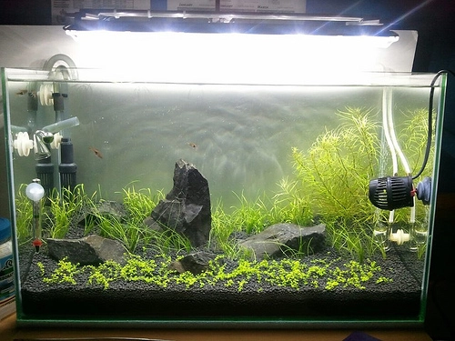 水草缸使用led水族燈 水草燈 測試實錄 Mobile01
