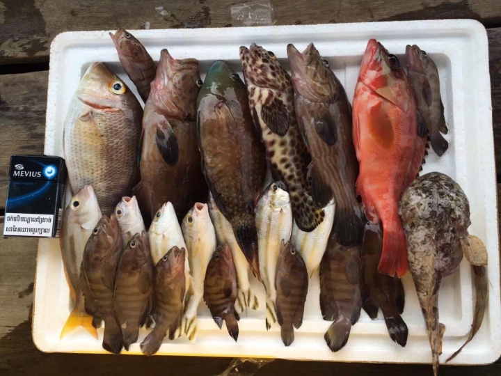 柬埔寨海釣