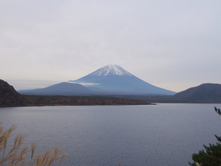 2015.11.11東京河口湖遊記（12mm+9-18mm）