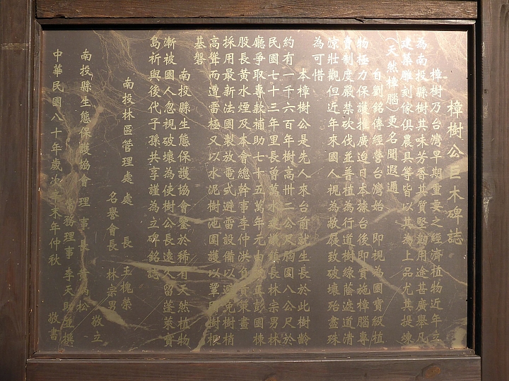 草屯漫騎