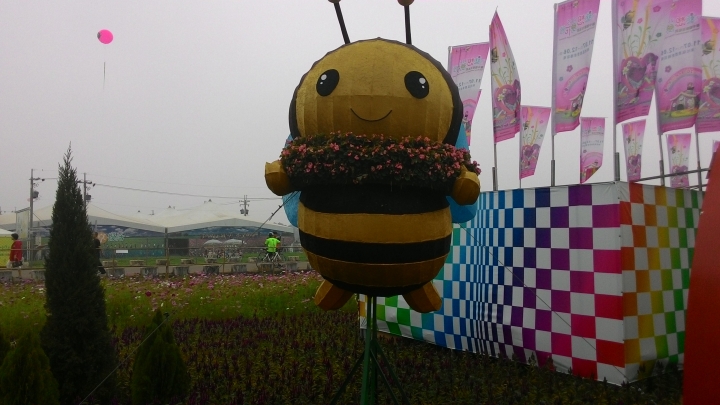 簡單的新社花海之旅