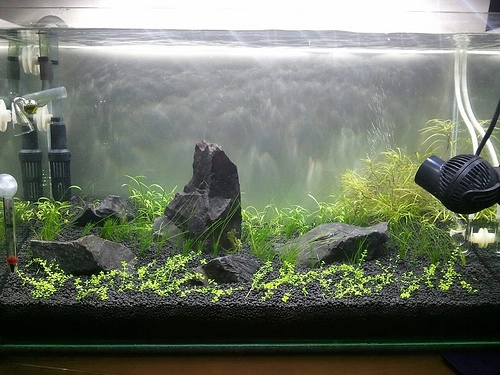 水草缸使用led水族燈 水草燈 測試實錄 Mobile01