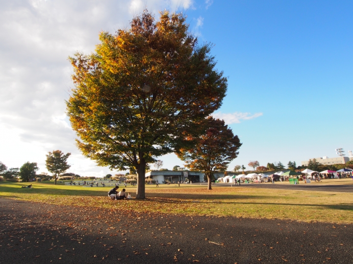 2015.11.11東京河口湖遊記（12mm+9-18mm）