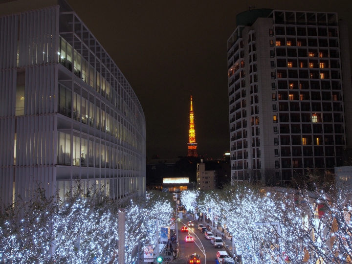 2015.11.11東京河口湖遊記（12mm+9-18mm）