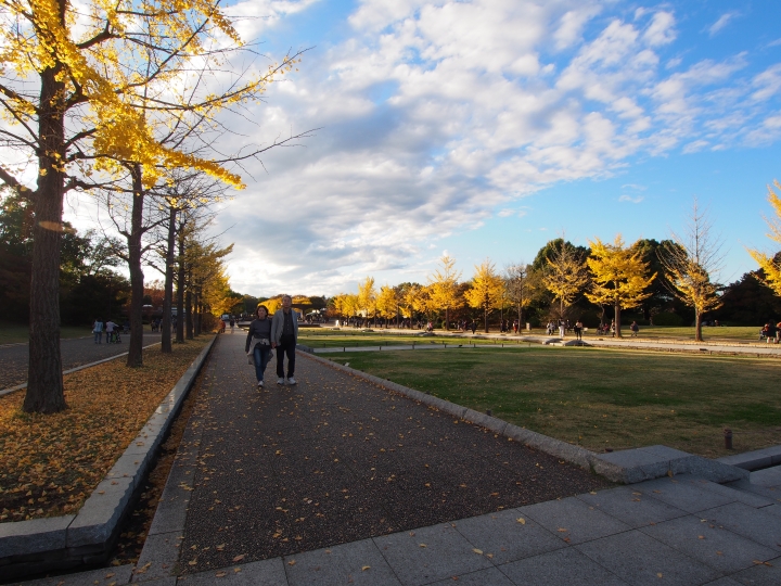 2015.11.11東京河口湖遊記（12mm+9-18mm）