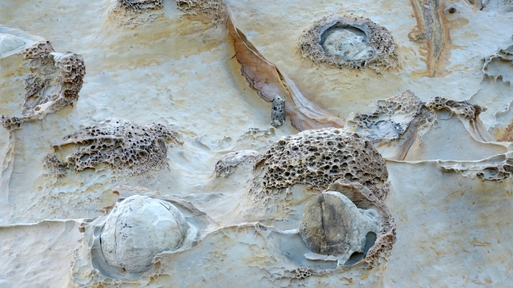 被遺忘的XF 55-200 富士長焦鏡
