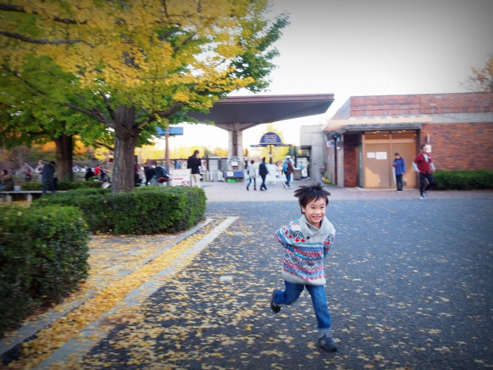 2015.11.11東京河口湖遊記（12mm+9-18mm）