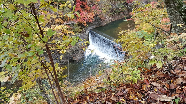 NOTE 5 日本 東北 紅葉之旅 照片分享 (圖多)