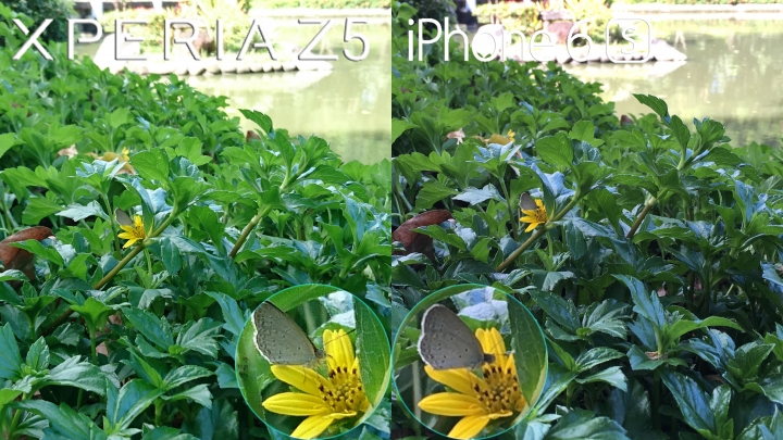 為什麼 Z5 跟 6S  對比結果?