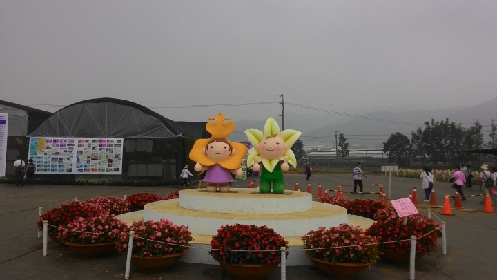 簡單的新社花海之旅