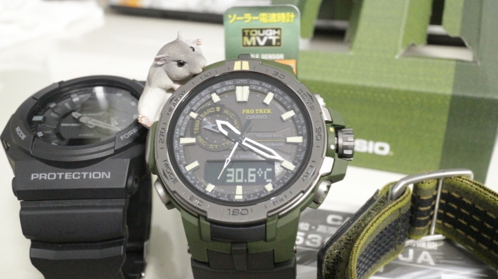 【簡開箱】CASIO專業登山錶 PRW-6000SG-3JR