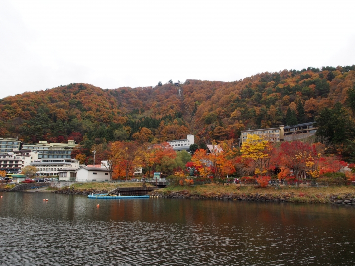 2015.11.11東京河口湖遊記（12mm+9-18mm）