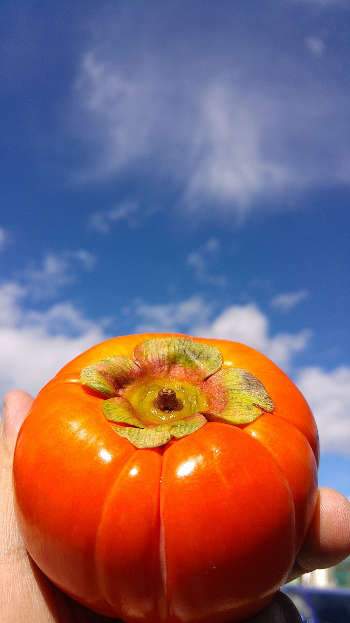 2015福壽山之旅，G4 隨手拍（二）