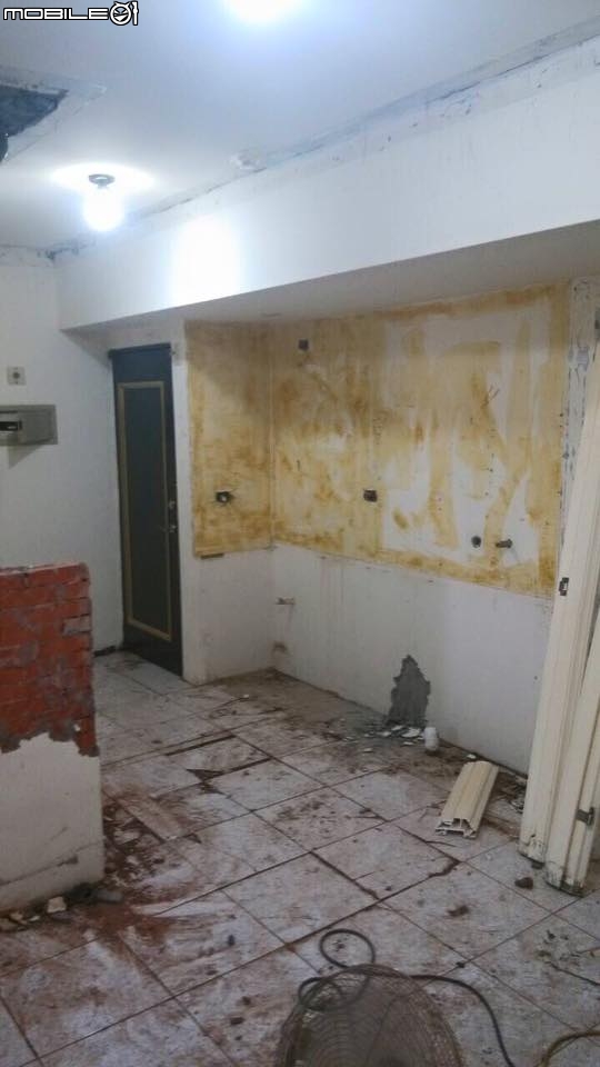[開箱]工業Loft英式小宅，變明亮空間變大了，我的黃金獵犬+兩位愛狗人士