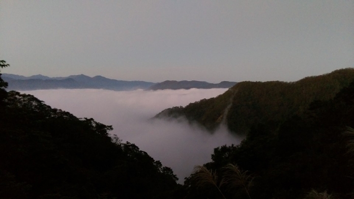 一點點小小的疑問