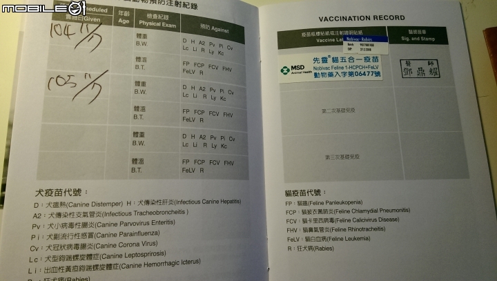 [認養] 桃園/三色貓/已結紮/已打預防針/有晶片