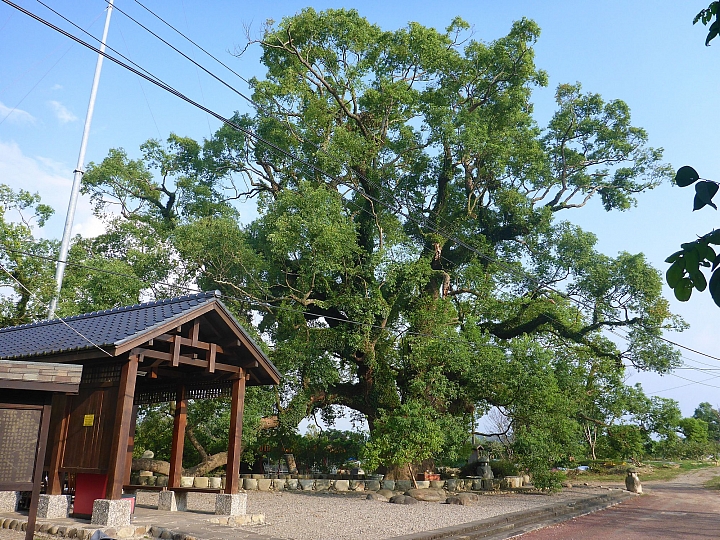 草屯漫騎