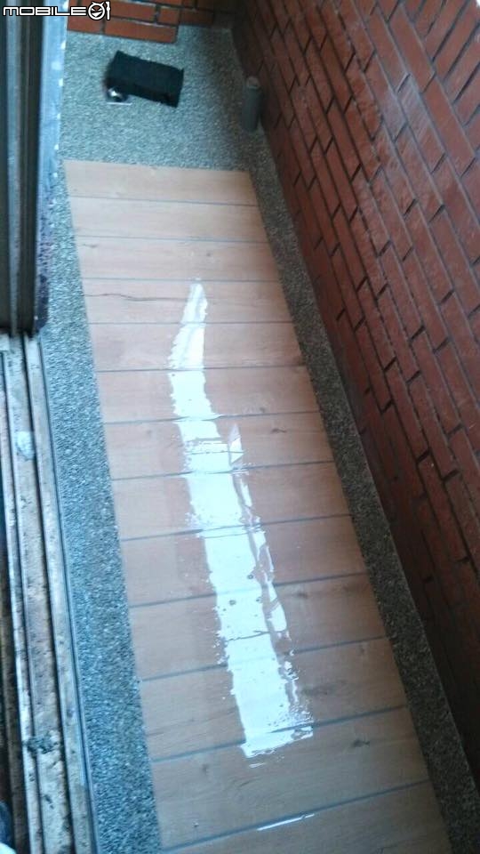 [開箱]工業Loft英式小宅，變明亮空間變大了，我的黃金獵犬+兩位愛狗人士