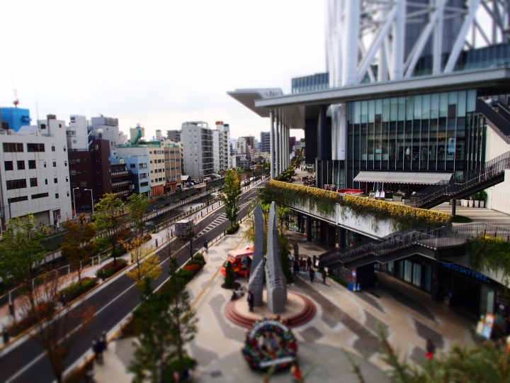 2015.11.11東京河口湖遊記（12mm+9-18mm）
